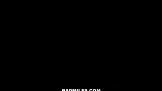 Easter Holiday Dick Down