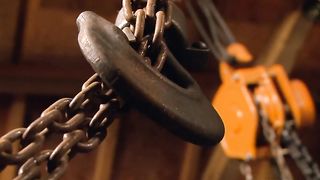 Wild Bitch Needed An Action To Be Calmed Down