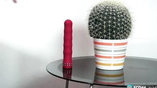 Anastasia Lux: Well Rounded