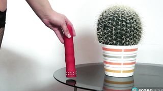 Anastasia Lux: Well Rounded