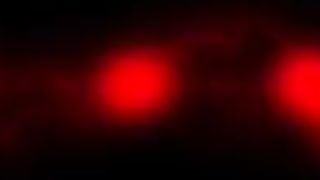 Billi Bardot's One-Woman Boob Cruise