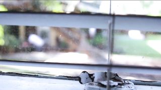 I Had Chocolate For Valentine