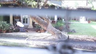 I Had Chocolate For Valentine