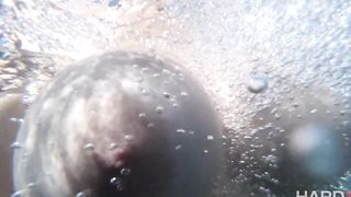 Mia Malkova, Noelle Easton, And Siri