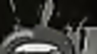 Worship At The Alter of Cock