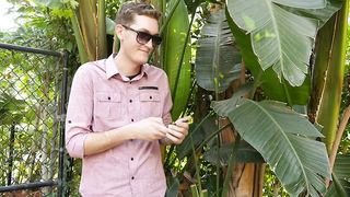 Dont Hate The Player, Hate The Shame