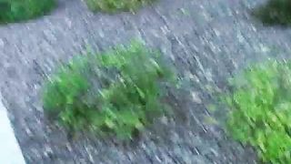 Fat Redhead Seduces a Black Guy